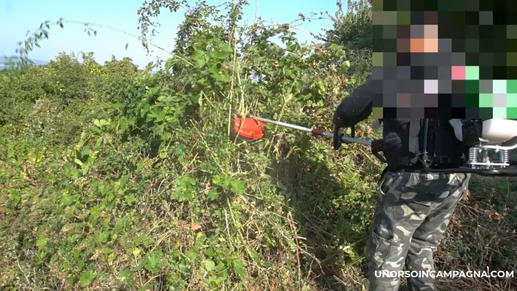 Decespugliatore Active Brutale: non si può chiedere di più! 13 Decespugliatore Active Brutale - disco Macinone