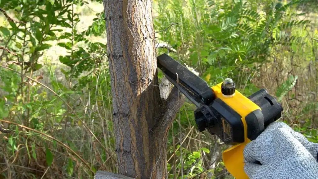 mini motosega a batteria APROTII (catena lubrificata) - abbattimento albero