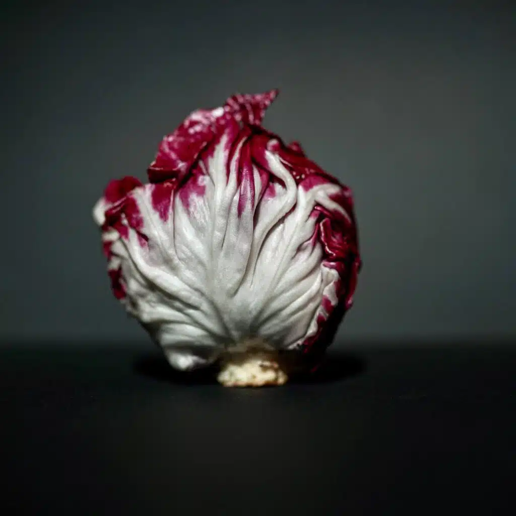 Come coltivare il Radicchio nell'orto - 