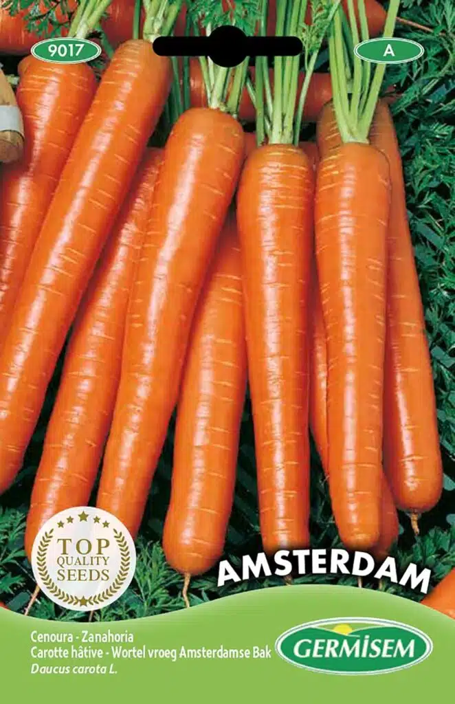 Come coltivare le carote nell'orto - semi di carota