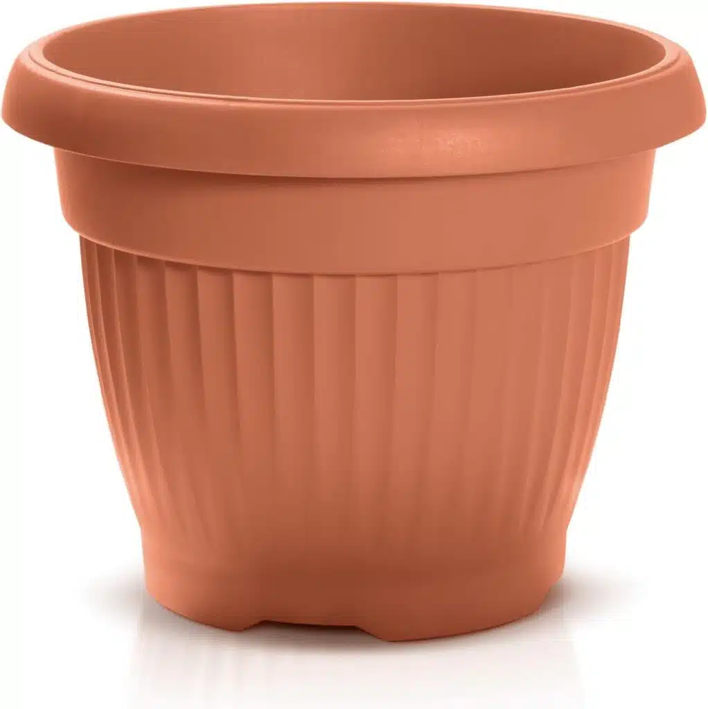 Come trapiantare un melograno in vaso - scelta del vaso