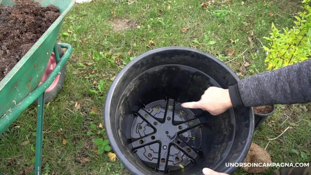 Come trapiantare un melograno in vaso - vaso forato