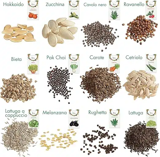 10 idee regalo per Natale per orto e giardinaggio - 12 Varietà Kit Semi di Ortaggi 