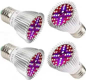 Quali luci LED scegliere per il Semenzaio - lampadine LED