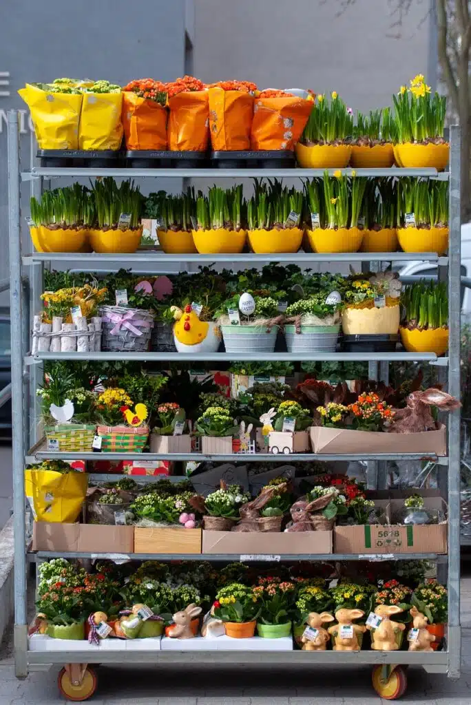 Borlanda fluida concime biologico per giardinaggio ed orto - piante d'appartamento