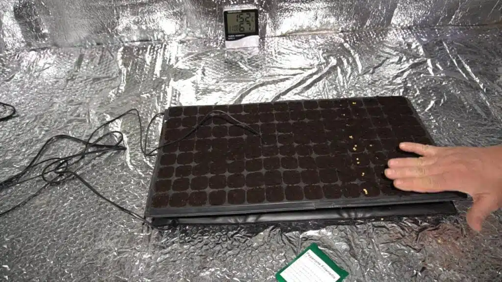 Come usare il tappetino riscaldante per il semenzaio - coprire i semi