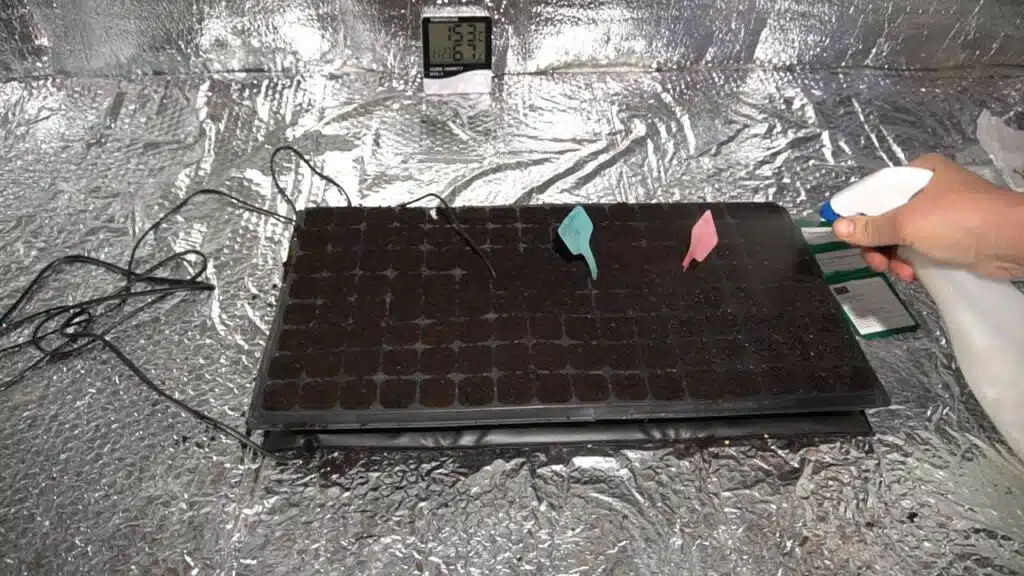 Come usare il tappetino riscaldante per il semenzaio - innaffiare con uno spruzzino