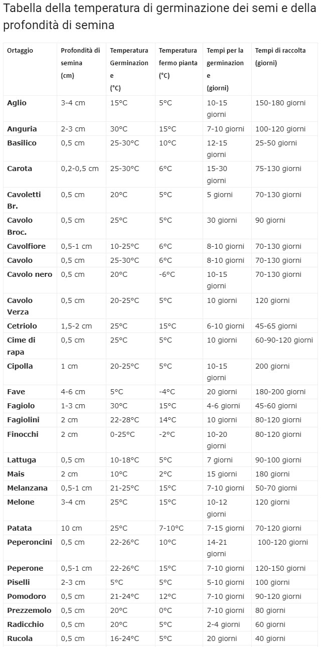 Salvapatate 1 Kg In Polvere Di Alghe Calcaree – Antigermogliante Naturale Per La Conservazione Delle Patate, Senza Biocidi, Dosaggio 1,5 G/kg, Ripetere Ogni 15 Giorni