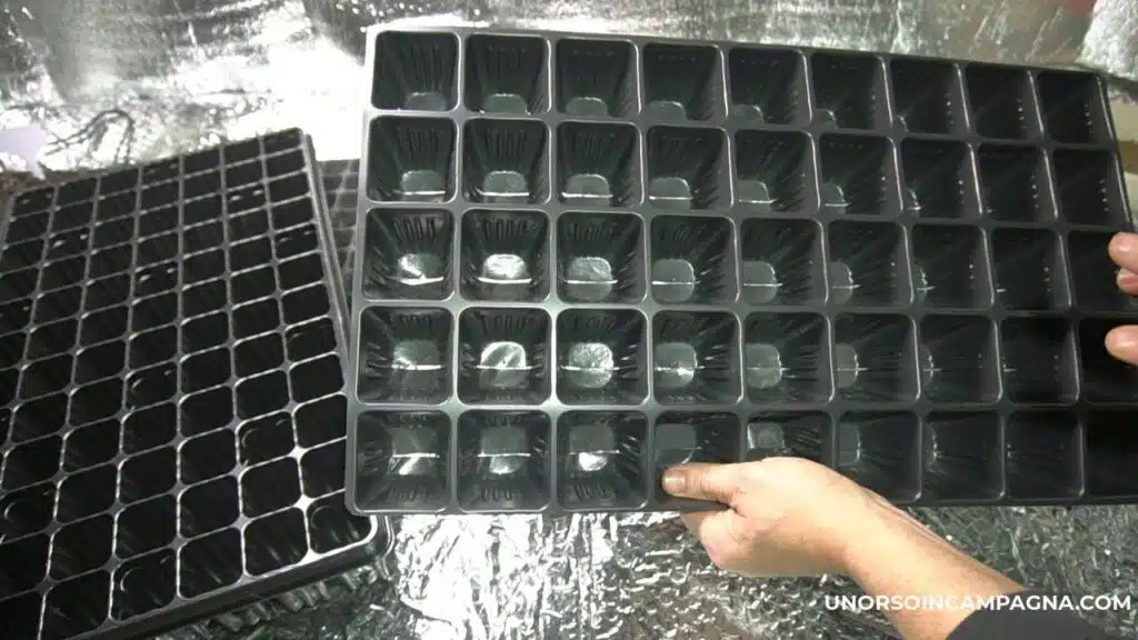 Vaschette di germinazione per il semenzaio!