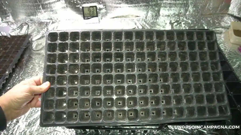 Vaschette di germinazione per il semenzaio!