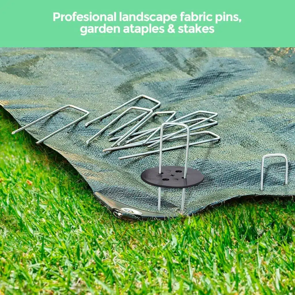 Quale pacciamatura è migliore tra teli e paglia? 3 picchetti