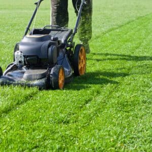 Taglio mulching
