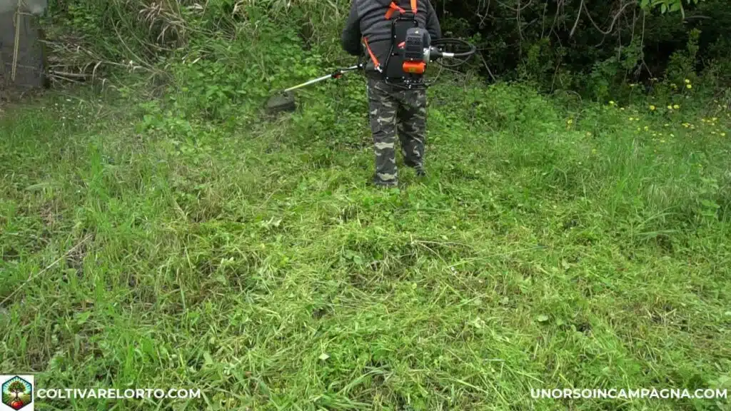 Decespugliatore spalleggiato Fuxtec MS152T: potente ed economico! 15 FUXTEC FX MS152T test 1