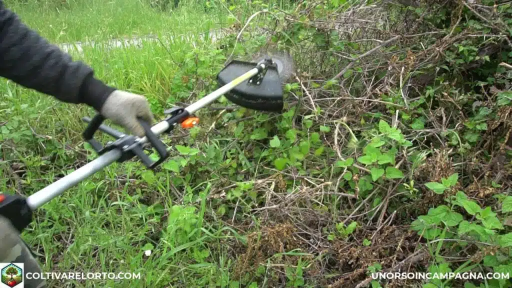 Decespugliatore spalleggiato Fuxtec MS152T: potente ed economico! 17 FUXTEC FX MS152T test macinone