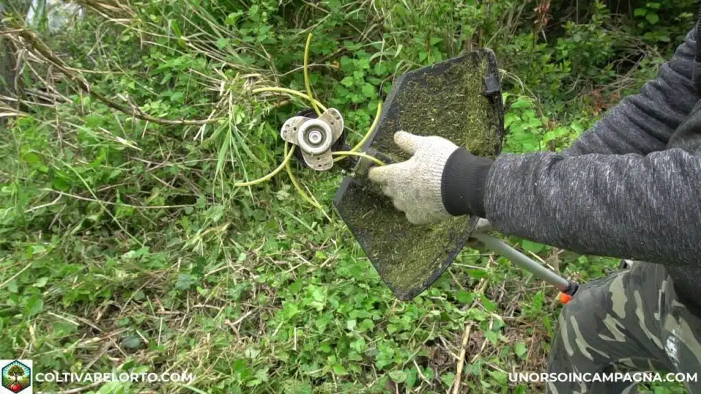 Decespugliatore spalleggiato Fuxtec MS152T: potente ed economico! 16 FUXTEC FX MS152T test tripletto