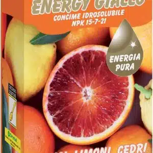 Flortis Energy giallo