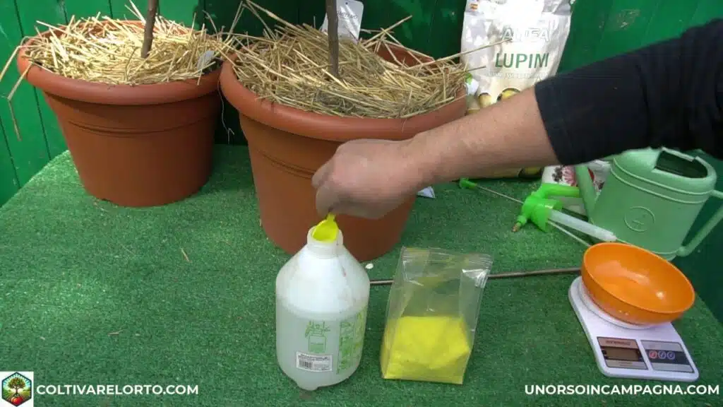 Flortis energy giallo 5