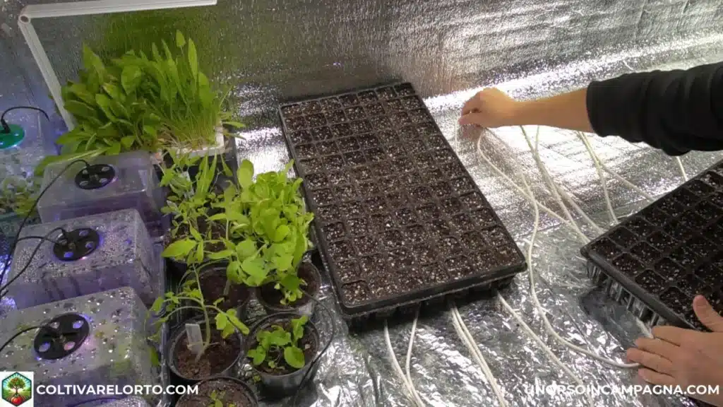 Come realizzare un semenzaio riscaldato con il cavetto riscaldante 5 cavetto riscaldante nel semenzaio 1