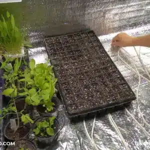 cavetto riscaldante nel semenzaio