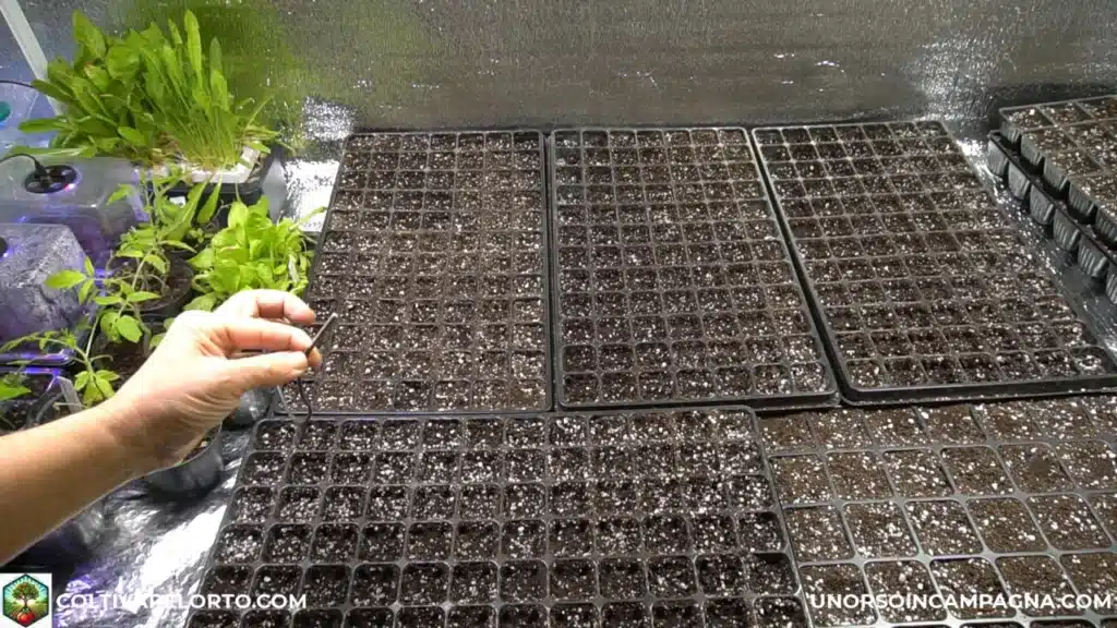 Come realizzare un semenzaio riscaldato con il cavetto riscaldante 8 cavetto riscaldante nel semenzaio termostato 3