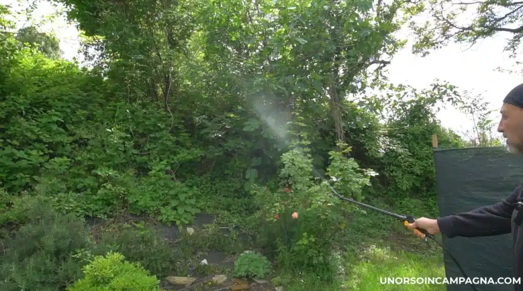 Pompa a batteria Volpi V-Black Vita 16 test completo: la mia esperienza sul campo 9 Pompa a batteria VOLPI Vita 16 asta telescopica ugello in plastica