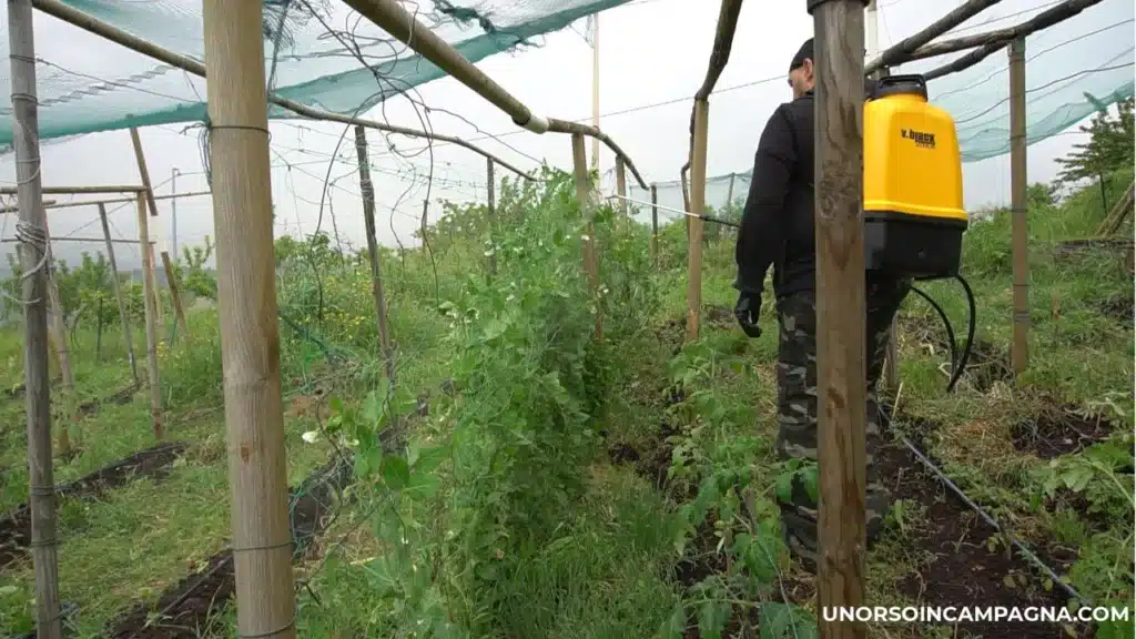 Pompa a batteria Volpi V-Black Vita 16 test completo: la mia esperienza sul campo 10 Pompa a batteria VOLPI Vita 16 trattamento con zeolite 2